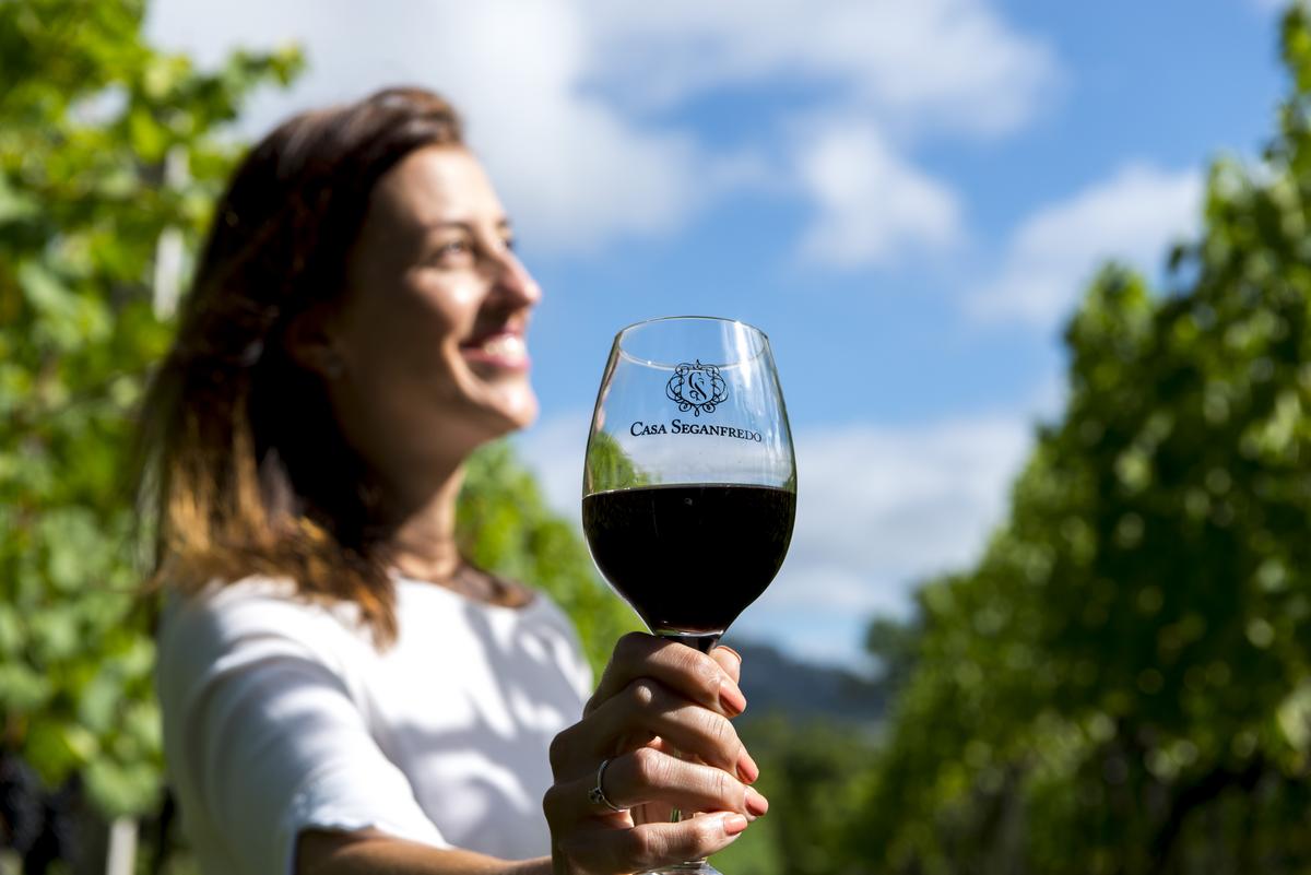 Vista panorâmica de Gramado mostrando residências charmosas entre áreas verdes abundantes, ideal para quem considera Gramado para morar.